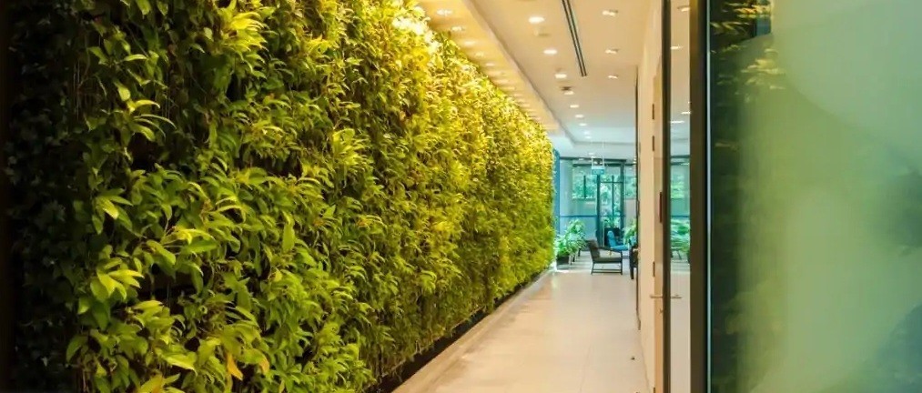 Vertical Wall Planter for Small Spaces in Singapore - Prince's Landscape Pte Ltd